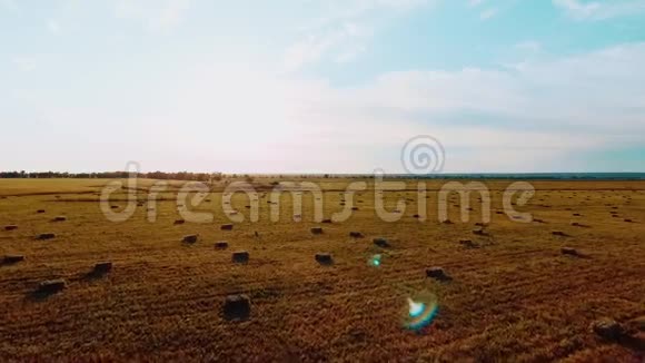 日落背景下草地上的干草堆视频的预览图
