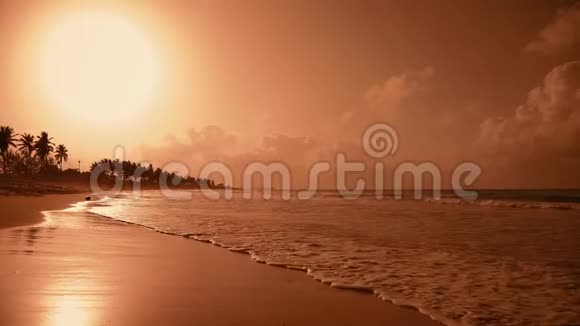 夕阳西下棕榈岛海滩视频的预览图