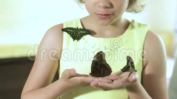 抱着一只蝴蝶的女孩视频的预览图