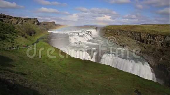 冰岛的海鸥视频的预览图
