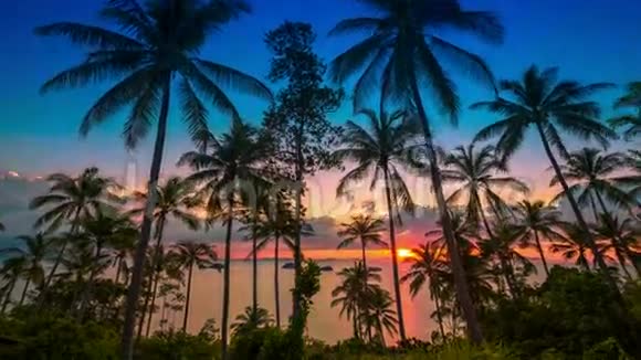 4K时间推移泰国苏梅岛棕榈树背景下海上日落视频的预览图