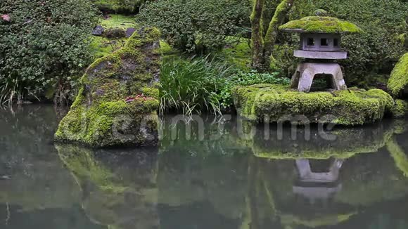 波特兰日本花园池塘水倒影与石灯泉高清电影视频的预览图