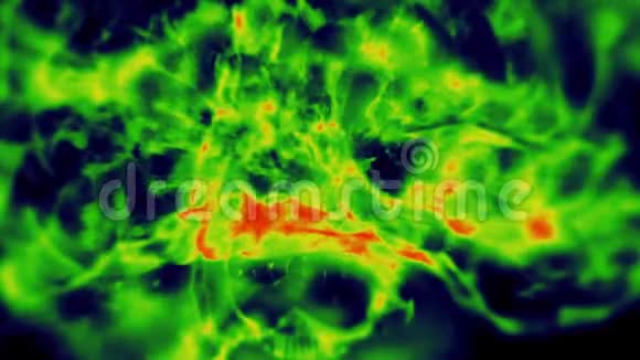 神经元系统的大脑内部视频的预览图