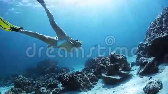女潜水员视频的预览图