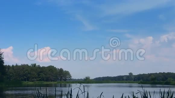 林湖畔蓝天视频的预览图