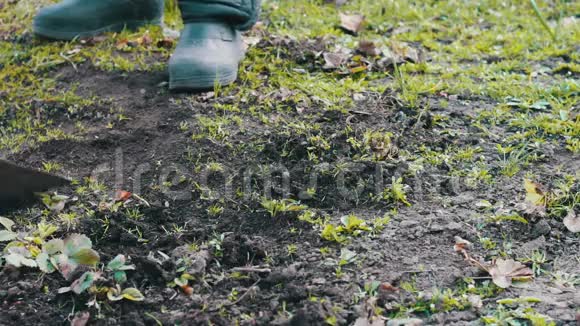 一个女人在花园里工作用一把锄头把地上的草擦干净视频的预览图
