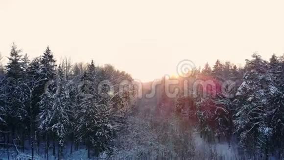 冬季森林的空中飞行在白雪皑皑的森林中飞翔太阳落山白雪皑皑视频的预览图