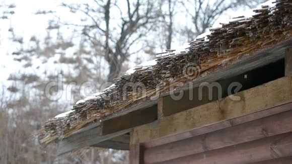 从茅草屋顶融化的雪水视频的预览图