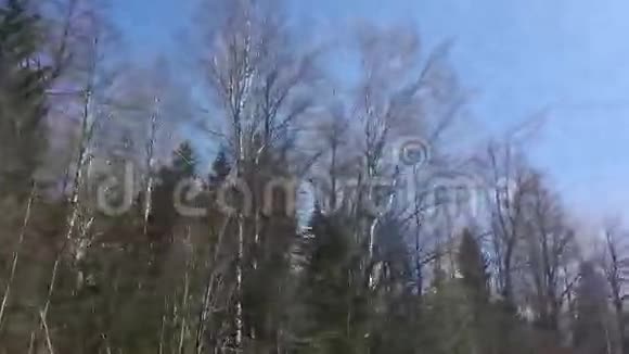 春天的自然从车窗视频的预览图