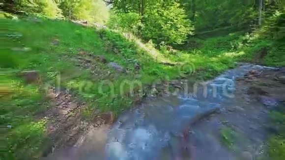树林和树林里的小溪视频的预览图