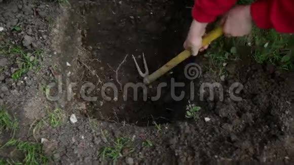在花园里挖个洞视频的预览图