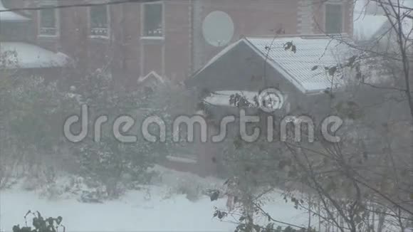 十月下雪视频的预览图