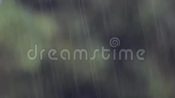 带有模糊背景的雨景视频的预览图