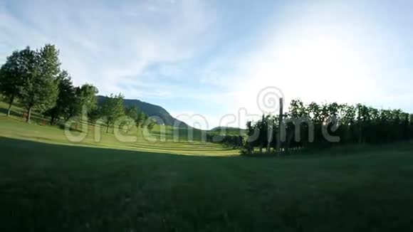 带着风景和背景的日落驱车穿过葡萄园的镜头视频的预览图
