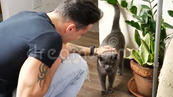 英俊的年轻人拥抱他的灰猫宠物视频的预览图