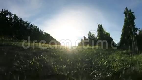 在背景中带着夕阳穿过葡萄园的镜头视频的预览图