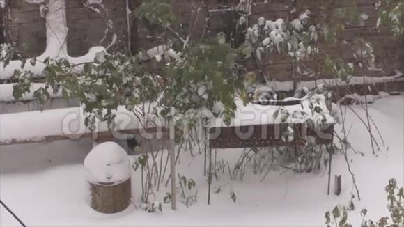 十月下雪视频的预览图