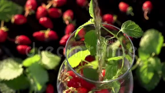 苏打水与薄荷和草莓视频的预览图
