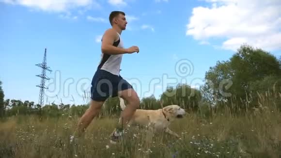 年轻人和他的狗在户外跑步拉布拉多或金毛猎犬在大自然中与男主慢跑健康视频的预览图
