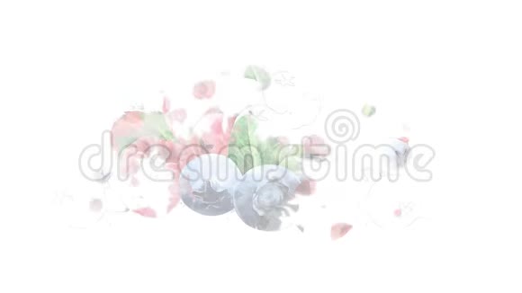覆盆子蔓越莓和蓝莓的水彩外观动画视频的预览图
