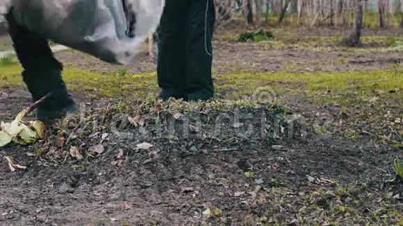 一个女人和一个孩子打扫花园里干燥的老叶子视频的预览图