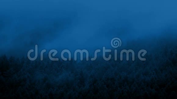雾在夜晚越过森林视频的预览图