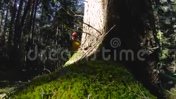 一位积极健康的时髦女摄影师手里拿着相机穿过森林低键60分视频的预览图