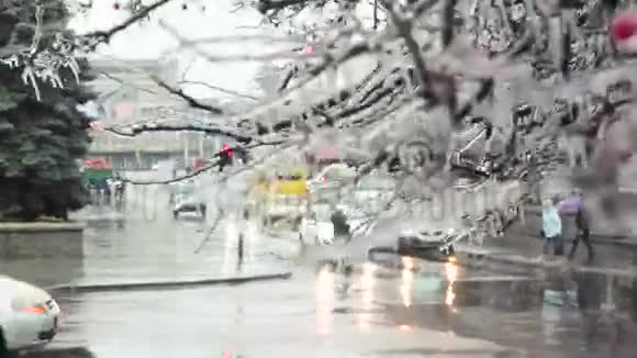 道路边缘被冻倒的灌木丛视频的预览图