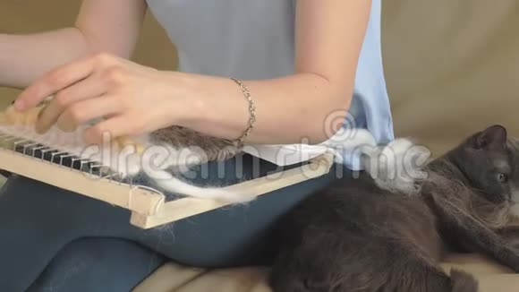 一个女人在织布机上织着一件由纱线制成的美丽刺绣在一家家庭工作室里猫在附近视频的预览图