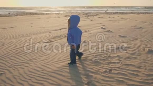 宝宝的生活方式一个男孩在天然海滩上玩沙子和石头视频的预览图