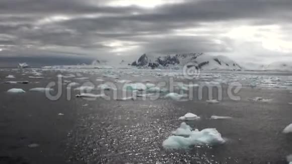 全球变暖的冰山漂浮在南极洲的海洋中视频的预览图