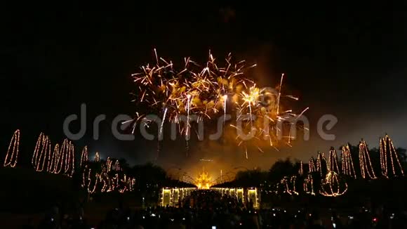 烟花庆祝国王陛下的生日泰国视频的预览图