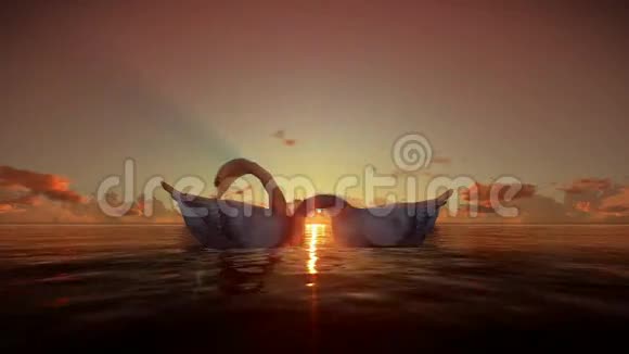 日落时水上游泳视频的预览图