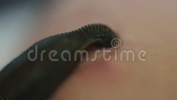 医用水蛭从人体皮肤吸血视频的预览图