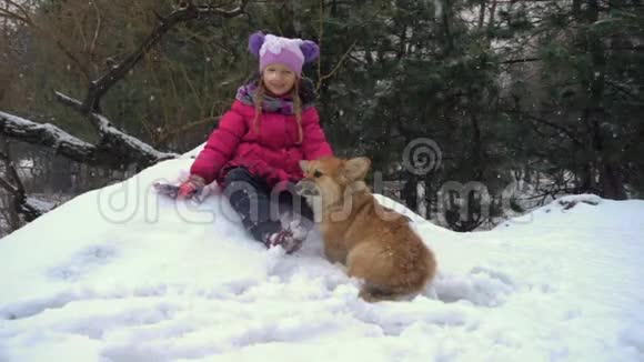 有趣的科吉毛绒小狗与小女孩在户外散步冬天的一天视频的预览图