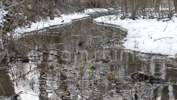 小溪流过一片雪景视频的预览图