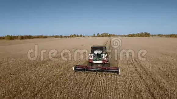 气钻农业小麦收获机视频的预览图
