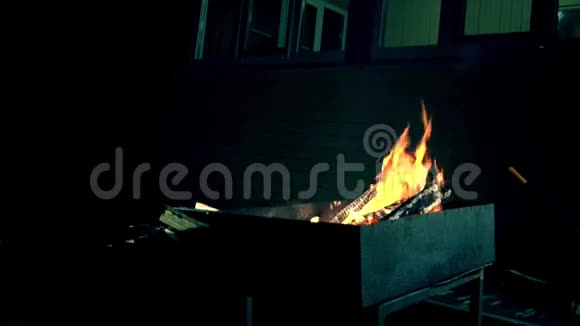 在金属壁炉中燃烧木材和煤视频的预览图