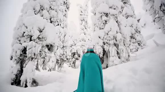 这个女孩正穿着格子呢沿着美丽的冬林散步视频的预览图