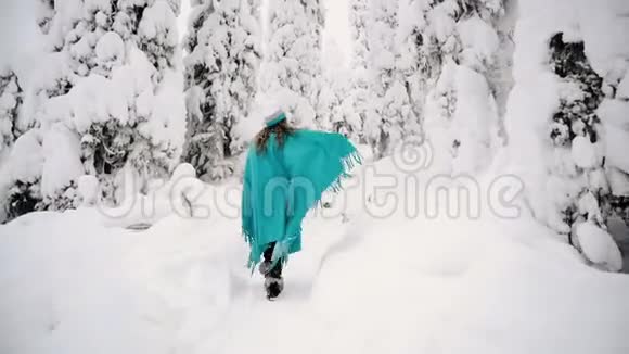 这个女孩正穿着格子呢沿着美丽的冬林散步视频的预览图