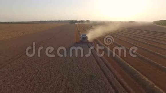 收割机脱粒小麦前景视频的预览图