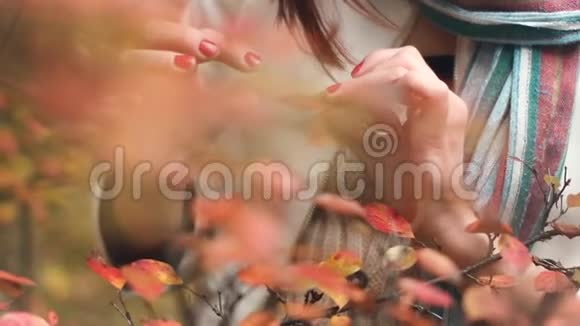 美丽的年轻女子高兴地在秋天公园收集树叶慢动作视频的预览图