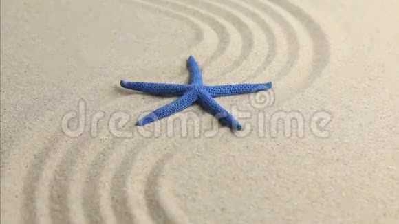 蓝色海星躺在起伏的沙滩上视频的预览图