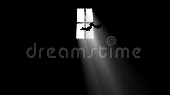 蝙蝠在鬼屋里飞过一束光视频的预览图