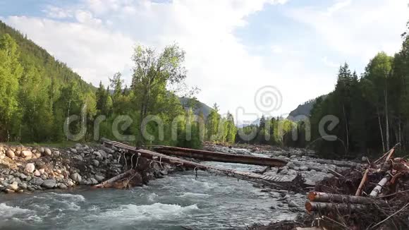 自然保护区阿尔泰山河山上美丽的风景粗糙的河流自由的概念视频的预览图