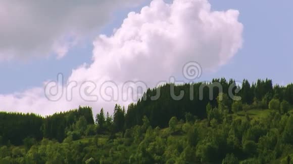 夏日山上绿林全景大云在蓝天上漂移自然树木视频的预览图