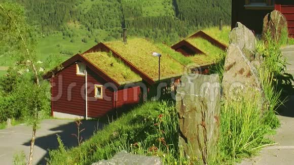 屋顶上有黄草的小木屋的景色夏日绿色植物没有人大自然视频的预览图