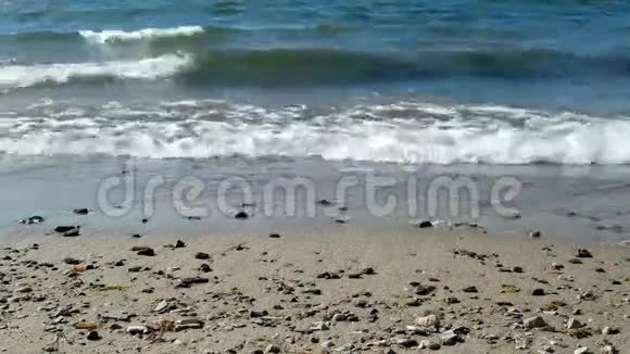 轻柔的海浪到达热带海滩视频的预览图