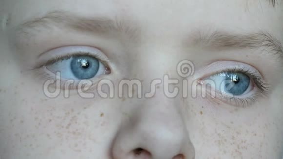 一对金发少年的蓝眼睛脸上长着红雀斑长长的白睫毛闭上视线视频的预览图