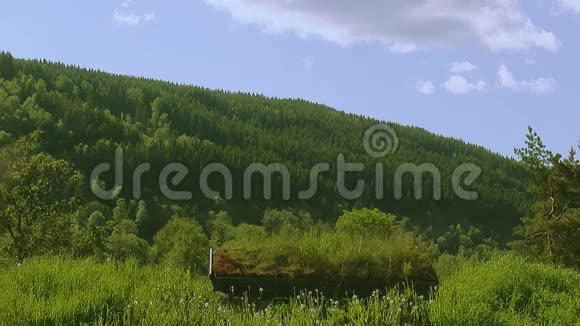 屋顶上绿草如茵的小木屋几乎看不见小山上绿油油的森林没有人视频的预览图